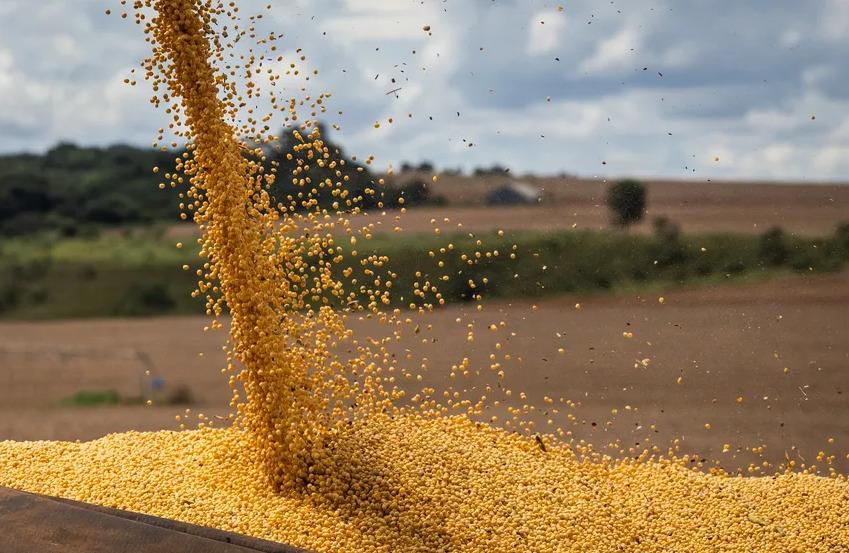 Mato Grosso registra um novo recorde nas exportações de soja