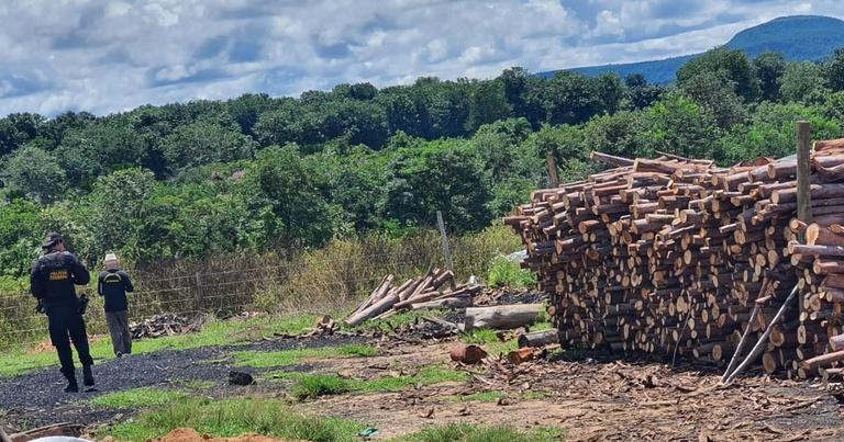 PF atua contra trabalho análogo à escravidão e encontra irregularidades em carvoaria em Alto Taquari