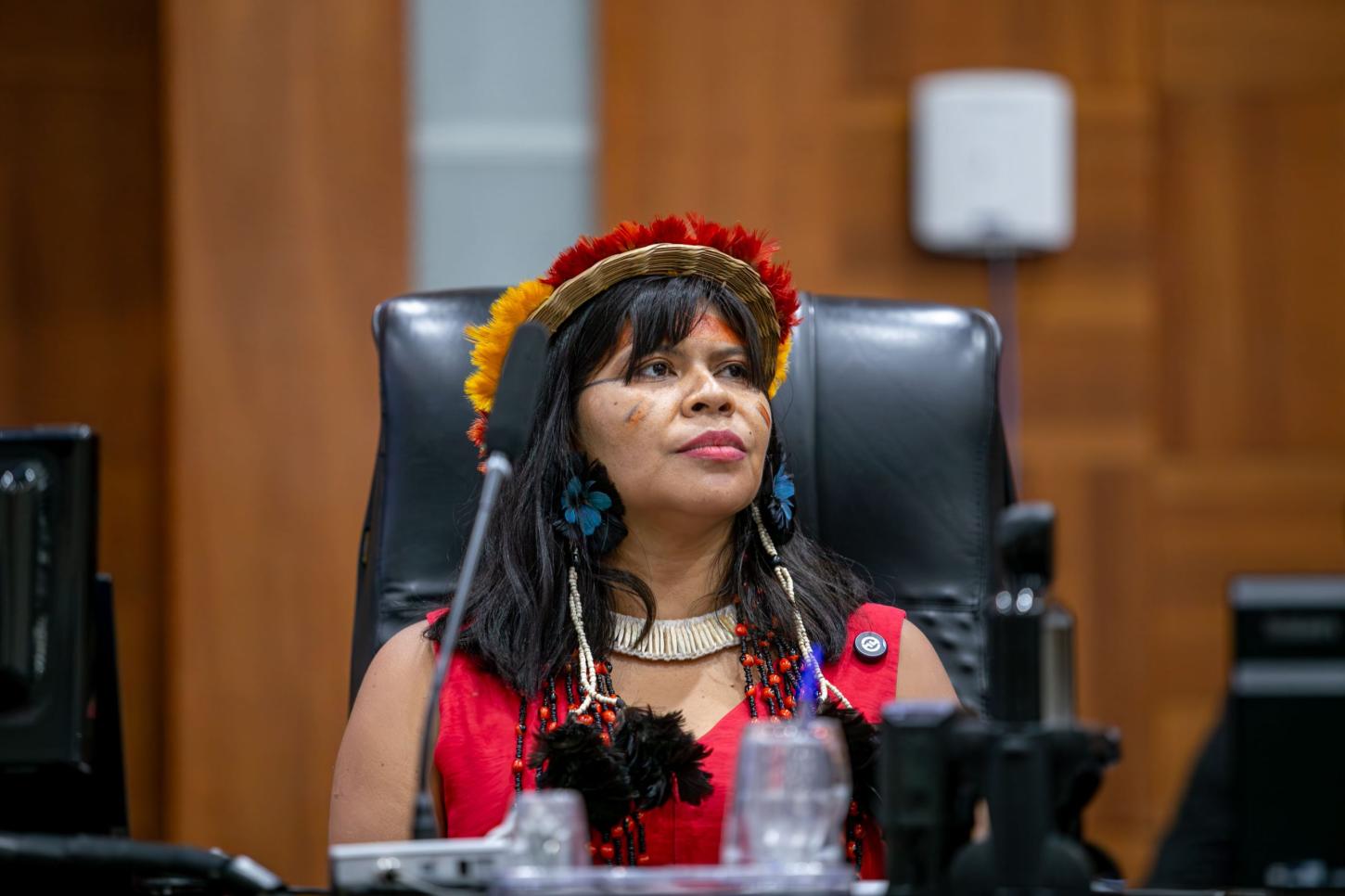 Pela primeira vez, mulher indígena assume cadeira na Assembleia Legislativa de Mato Grosso