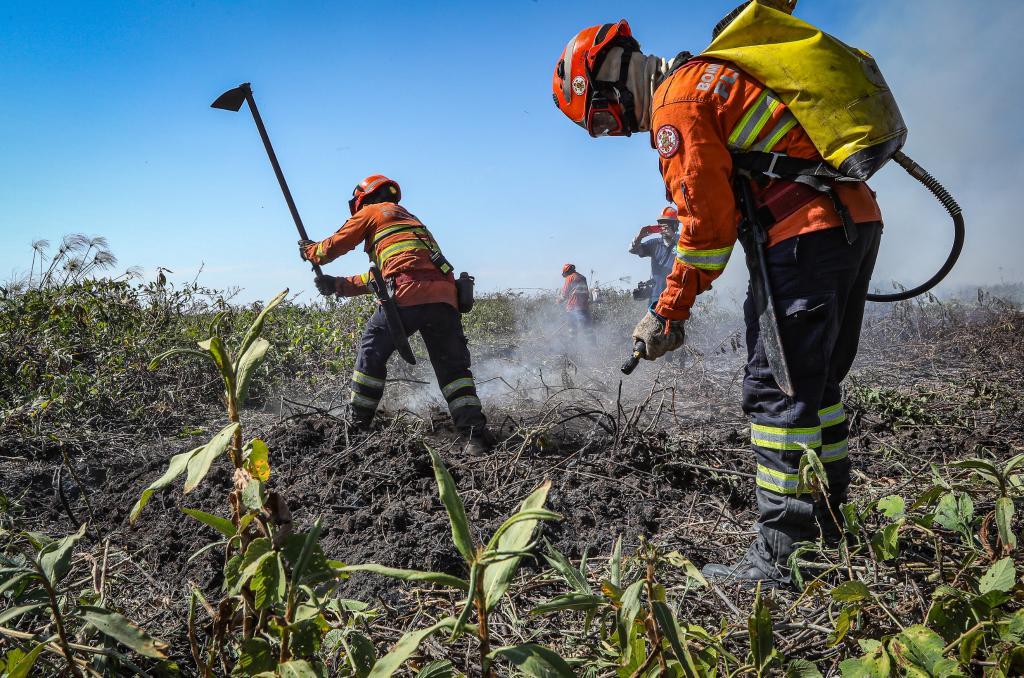 Corpo de Bombeiros convoca candidatos para Teste de Aptidão Física de seletivo para brigadistas temporários