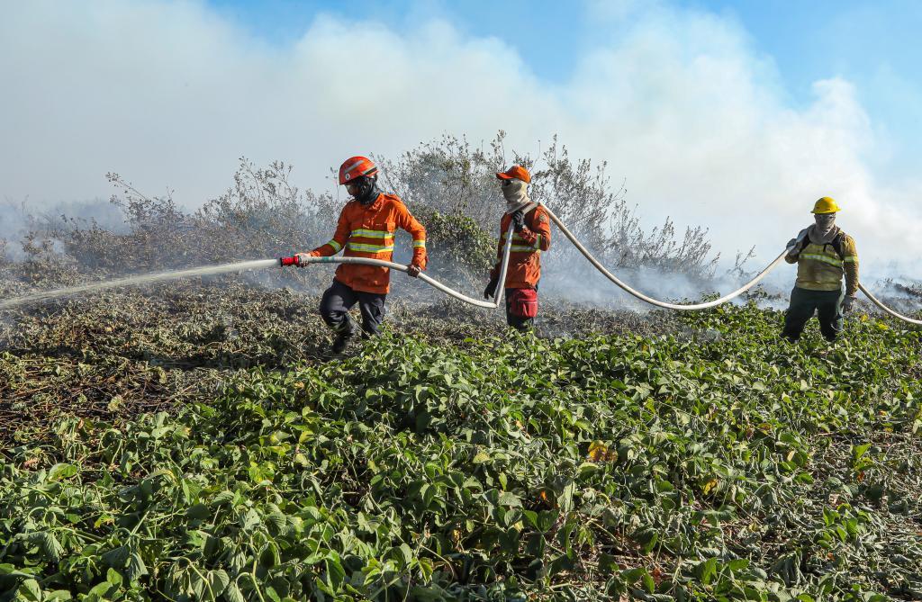Corpo de Bombeiros divulga resultado da análise de títulos de seletivo para brigadistas temporários