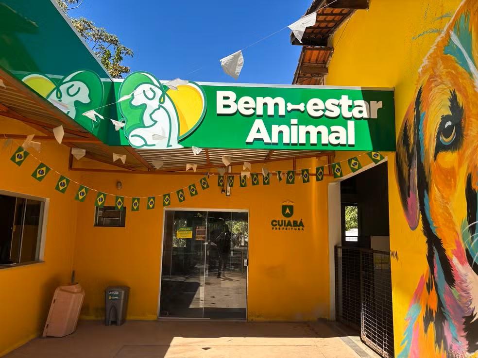 Cães morrem em galpão improvisado de Cuiabá e prefeito cita boicote