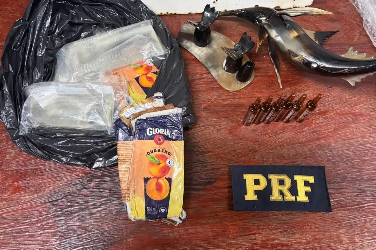 Rondonópolis; Escultura de peixe trazida do Peru escondia cocaína e fentanil em ônibus abordado na BR-364