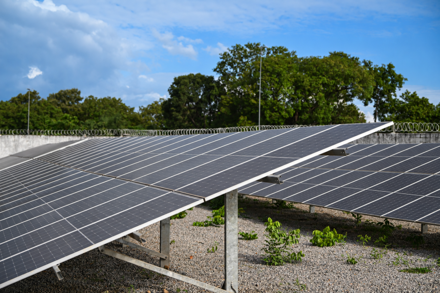Energisa abre chamada pública com mais de R$ 12,6 milhões para projetos de eficiência energética em Mato Grosso