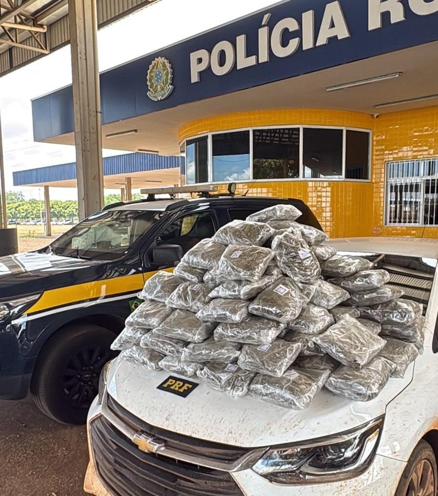 PRF apreende mais de 50 kg de skunk em Primavera do Leste, MT