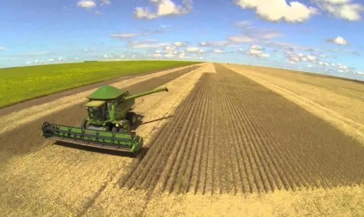 14 municípios produzem mais de 1 milhão de toneladas de soja; 8 deles estão em Mato Grosso