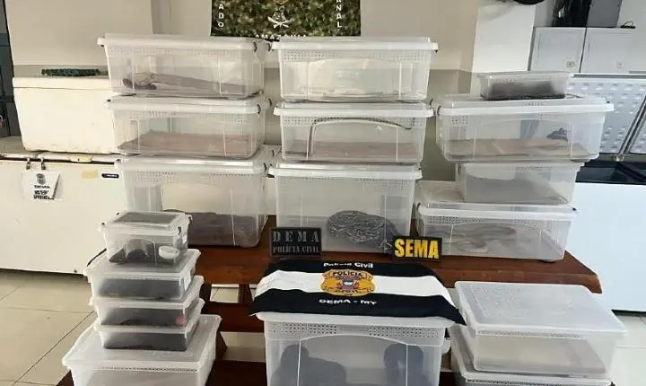 29 animais silvestres são apreendidos em residência em Cuiabá; caso pode envolver tráfico