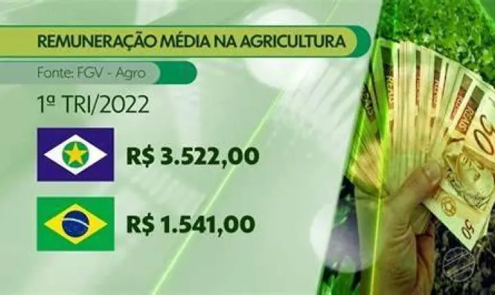 Agro é o 2º maior gerador de empregos, segundo o Caged