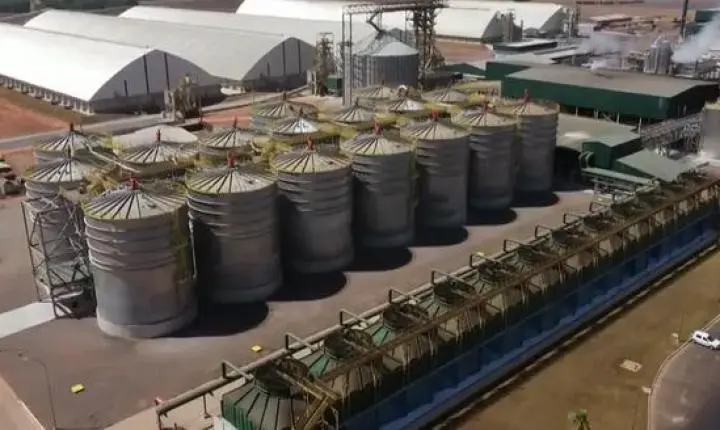 Agroindústria abre nova frente de expansão em MT e impulsiona PIB acima da média nacional