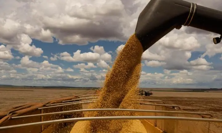 Aprosoja-MT conquista vitória para produtores com mudanças no Regime Especial de Exportação