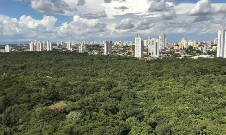 Aquecimento global: pesquisa da UFMT revela que apenas 26% da 'cidade verde' é arborizada e não cumpre diretrizes da OMS