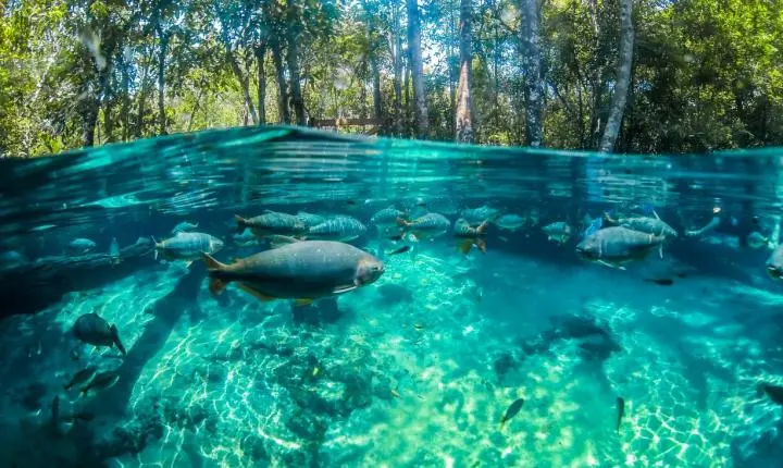 Arrecadação do ICMS com turismo em MT aumenta 32% no 1º semestre