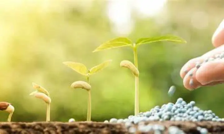 Aumento de mais de 350% no preço dos fertilizantes pode gerar desabastecimento, afirma Aprosoja