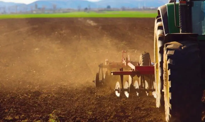 Boa produção está ligada à preparação e à manutenção do solo