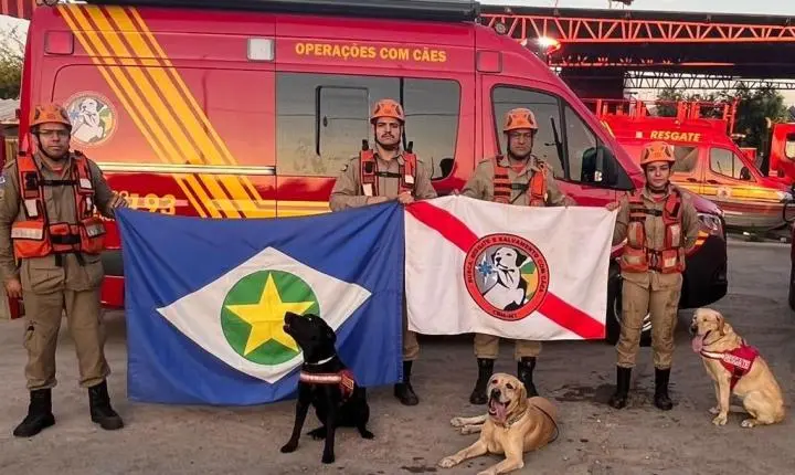 Bombeiros e cães de Mato Grosso auxiliam nas buscas por pessoas desaparecidas no RS