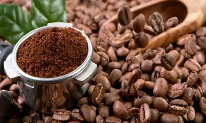 Café: com R$ 6 mi de prejuízo, exportadores sofrem com atrasos em embarques