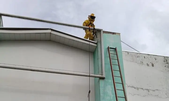 Campo Verde; Corpo de Bombeiros é acionado para retirada de enxame de abelhas em telhado de edificação
