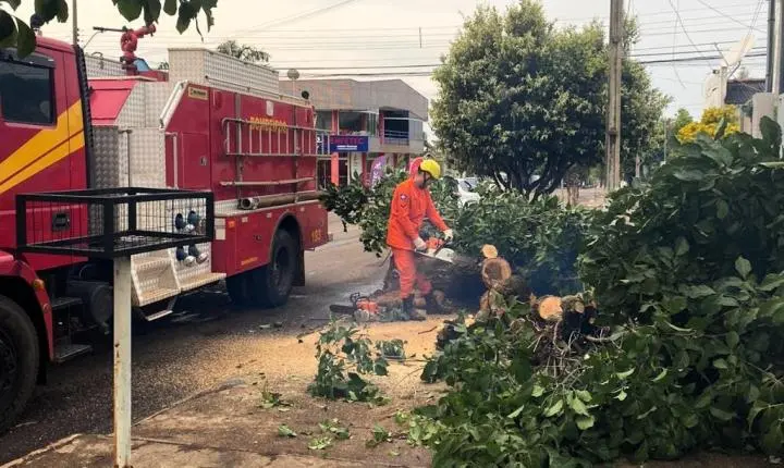 Campo Verde; Corpo de Bombeiros liberaram vias bloqueadas por queda de árvores após temporal
