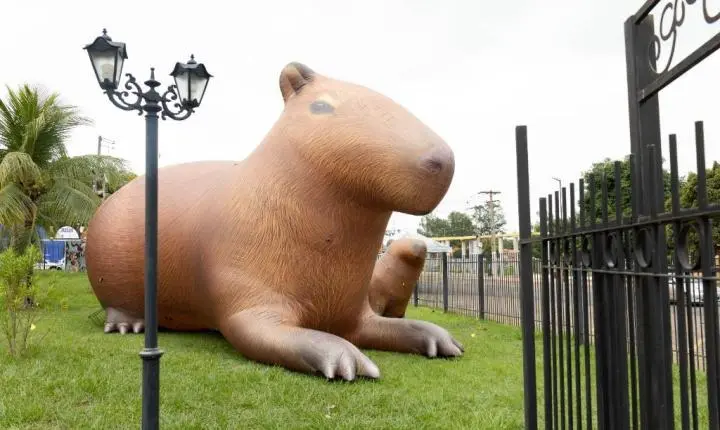 Capivara de quatro metros de altura chama atenção para Virada Sustentável Mato Grosso