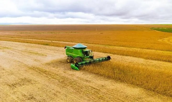 Cautela domina início do plantio da soja em MT por clima e custos elevados