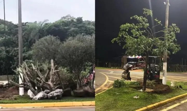 Chapada dos Guimarães; TCE aponta irregularidades em contrato após município comprar mais de R$ 300 mil em plantas