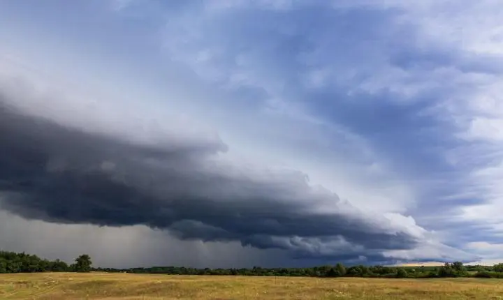 Chuvas volumosas seguem favorecendo cultivos no centro-norte