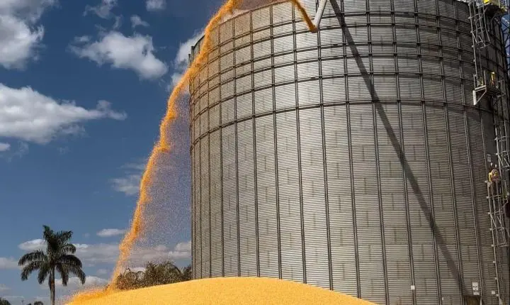 Codem autoriza 50 cartas consultas para projetos de novos armazéns em MT