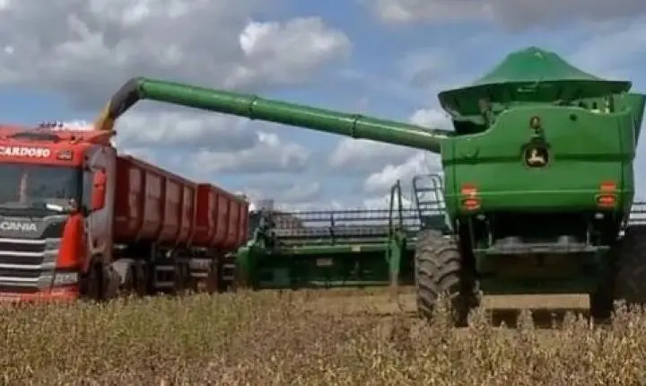 Colheita de soja está mais lenta quando comparada com cultivo de 2022 em MT