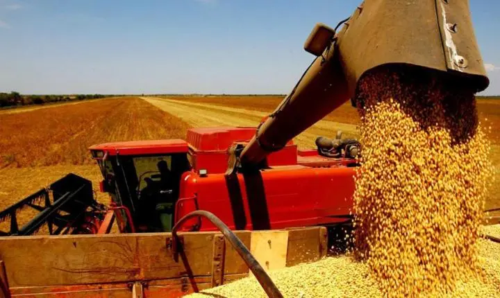 Conab aponta aumento de 3,5% na safra de grãos 2022/2023 em MT