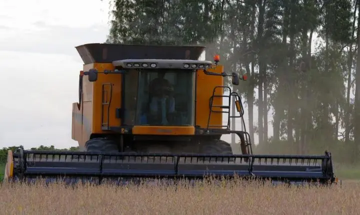 Conab estima colheita de 264,8 milhões de toneladas de grãos