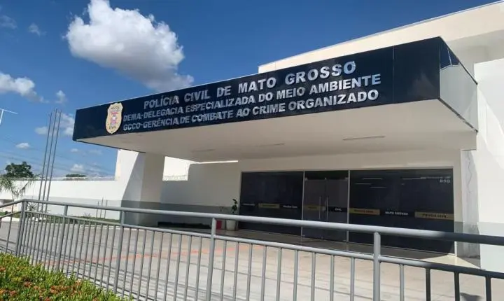 Cuiabá; Polícia Civil encontra gatos mortos em residência e prende homem por suspeita de maus-tratos