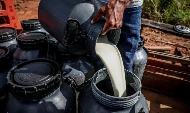 Dados de novo sistema da Seaf apontam pecuária leiteira como atividade mais desenvolvida na agricultura familiar de MT