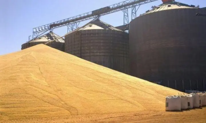 Déficit de armazenagem em Mato Grosso atinge a marca de 64,09 milhões de toneladas