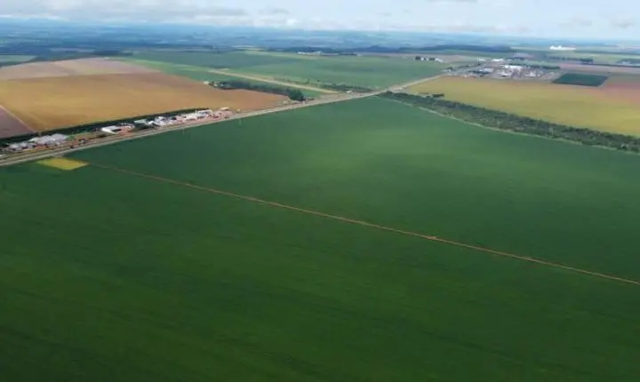 Descubra porquê Primavera do Leste está entre as cidades mais visitadas por estrangeiros