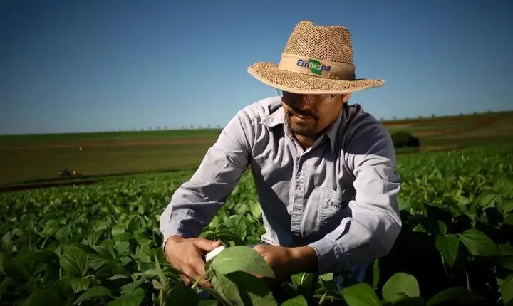 Dia do engenheiro agrônomo: o papel de alimentar o mundo
