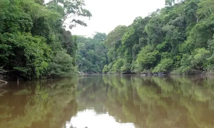 Dois homens desaparecem em rio após tentarem salvar crianças de afogamento em MT