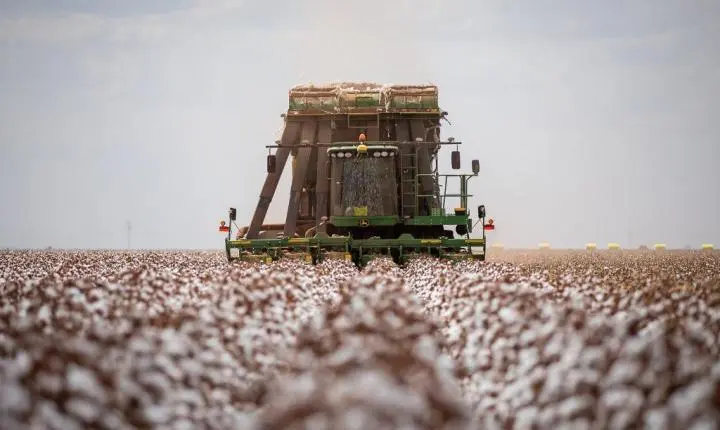Economia mato-grossense cresce 6,7% no segundo trimestre de 2023