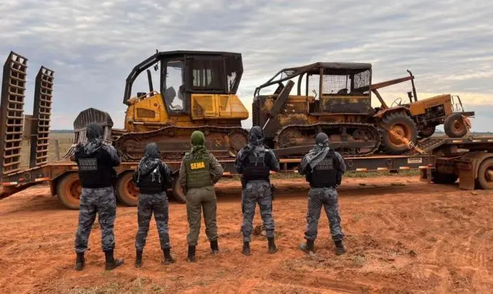 Em ação conjunta, Sema-MT apreende 250 cabeças de gado, máquinas pesadas e aplica multa de R$ 20 milhões