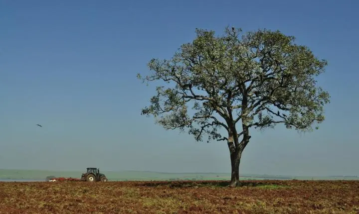 Embrapa apresenta novo plano diretor para próximos 10 anos