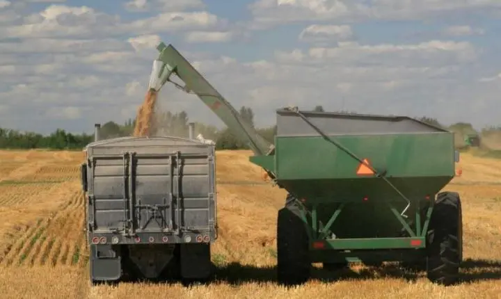 Empresa de insumos agrícolas Matosul Transportes entra em recuperação judicial por dívida de R$ 37 milhões