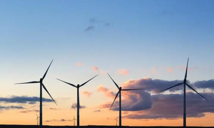 Energia eólica: Brasil ocupa posição de destaque mundial na geração de energia limpa