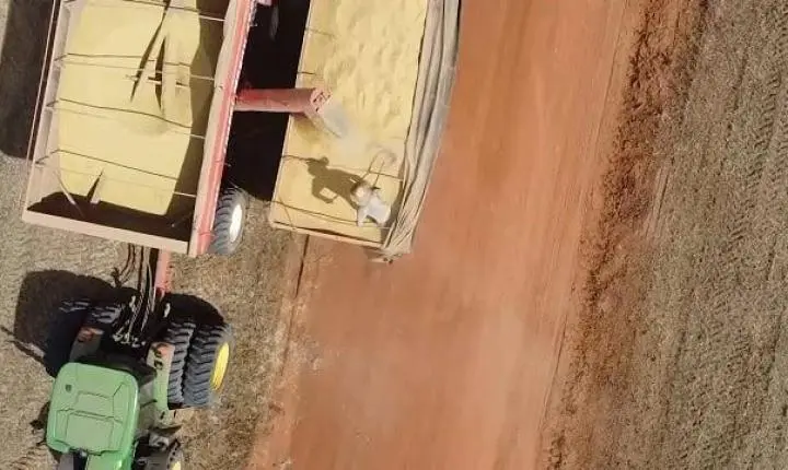 Esmagamento de soja recua 4,19% no primeiro trimestre em Mato Grosso