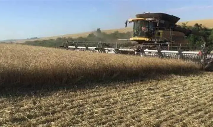 Exportação do país tem redução de 13%, mas preço das commodities garantem receita; MT é responsável por 25%