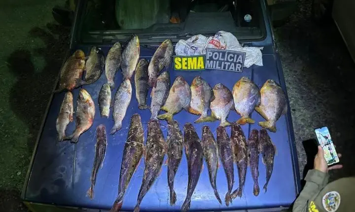 Fiscalização da Sema-MT apreende pescado e aplica R$ 14,5 mil em multas