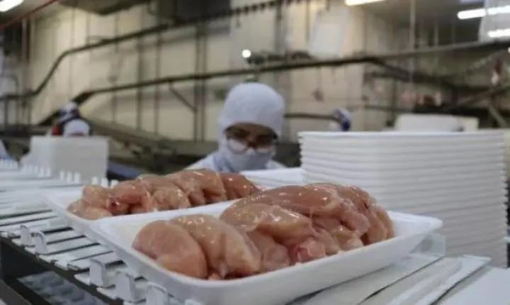 Frango brasileiro: África do Sul suspende tarifa antidumping