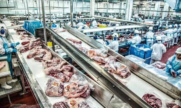 Frigorífico de Paranatinga e Mirassol D’Oeste é multado em R$1 milhão por omitir acidentes