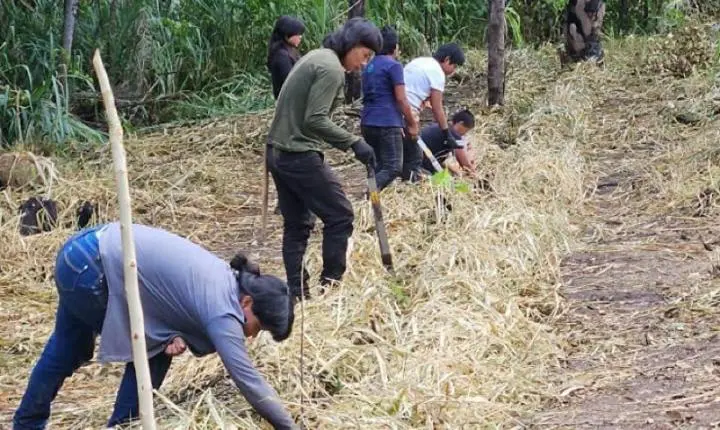 Governo de Mato Grosso investe R$ 1,5 milhão para fortalecer produção indígena Xavante
