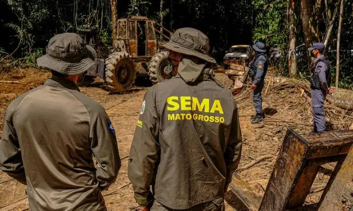 Governo de MT aplica R$ 227 milhões em multas no 1º trimestre por crimes ambientais