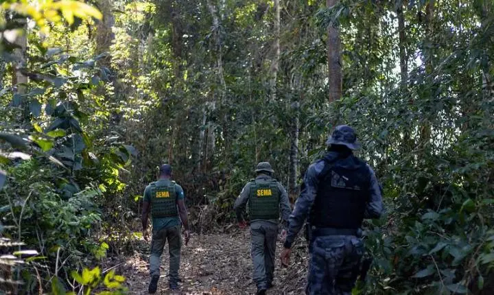 Governo de MT aplicou R$ 937 milhões em multas por crimes ambientais no primeiro semestre