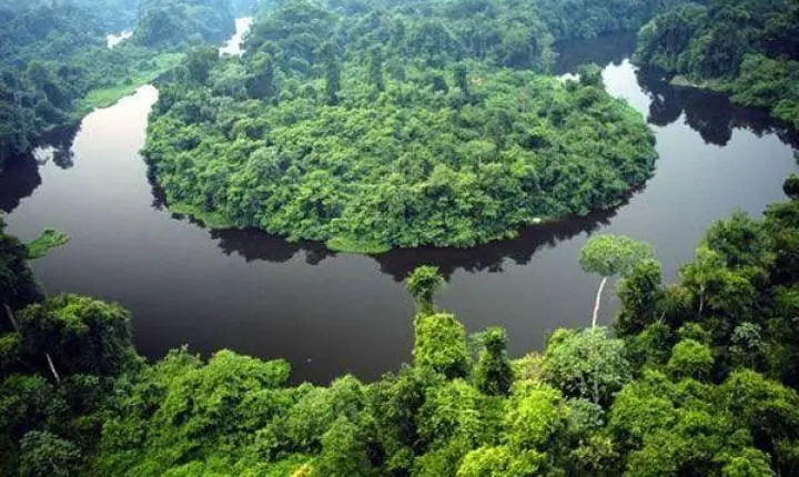 Governo de MT e O.N.E. Amazon firmam convênio de US$ 100 milhões para ações de preservação e desenvolvimento sustentável